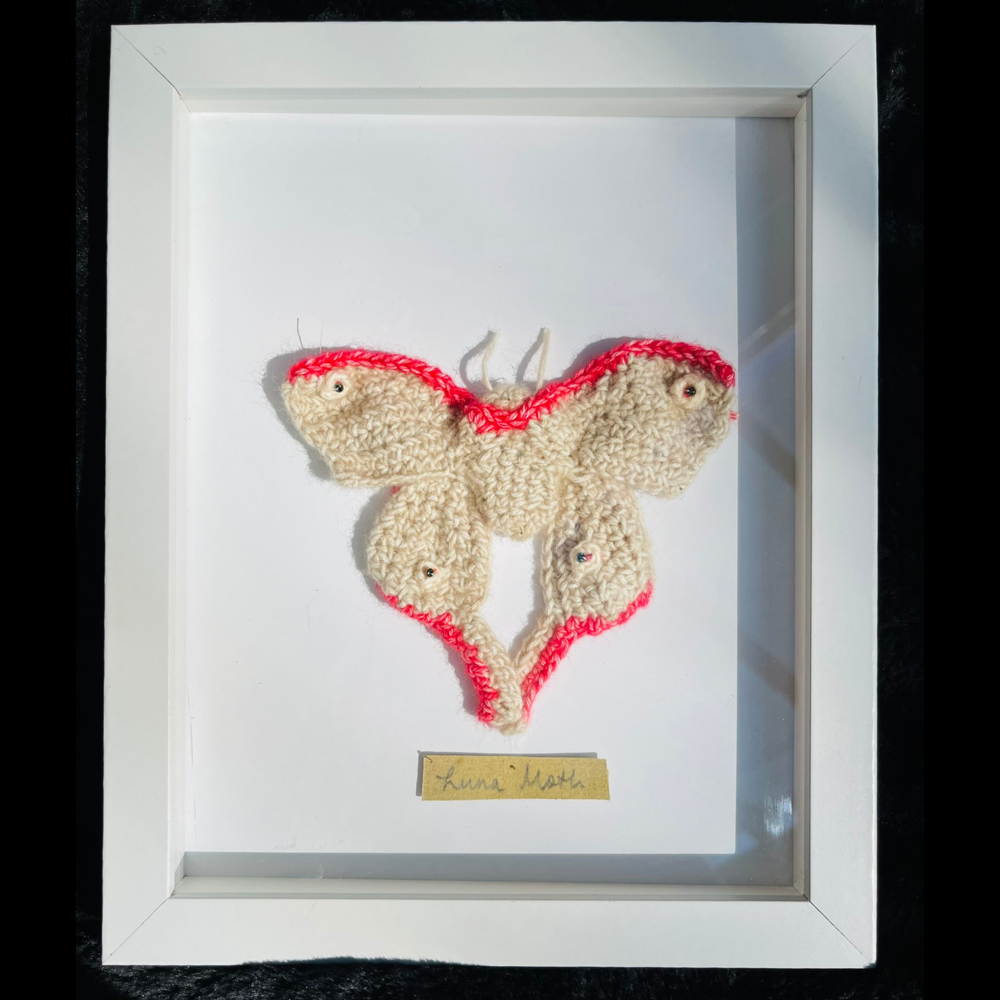 Handcrafted Insects - Framed