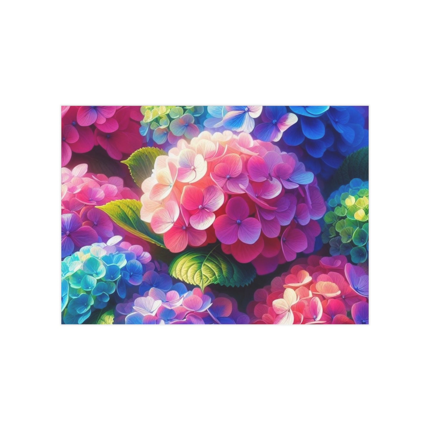 Hydrangeas Unframed Prints