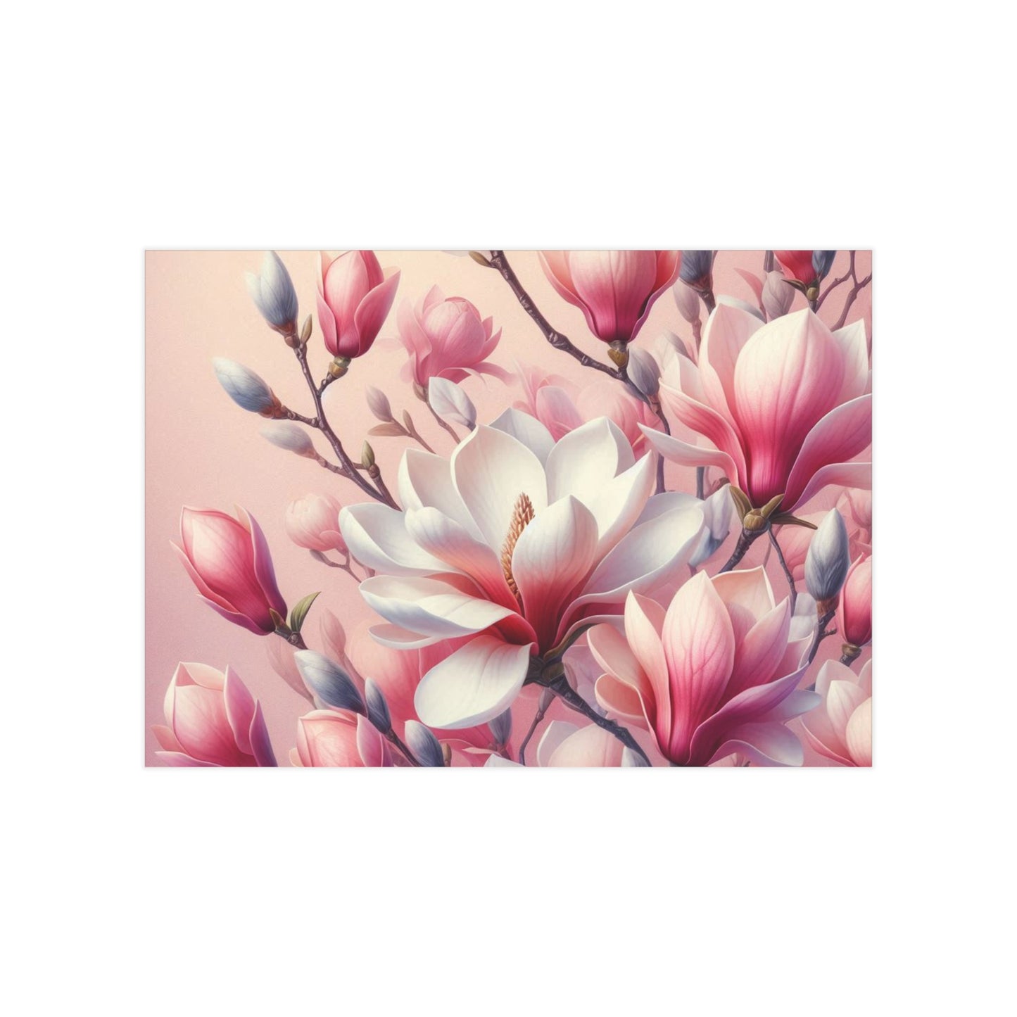 Magnolia Unframed Prints