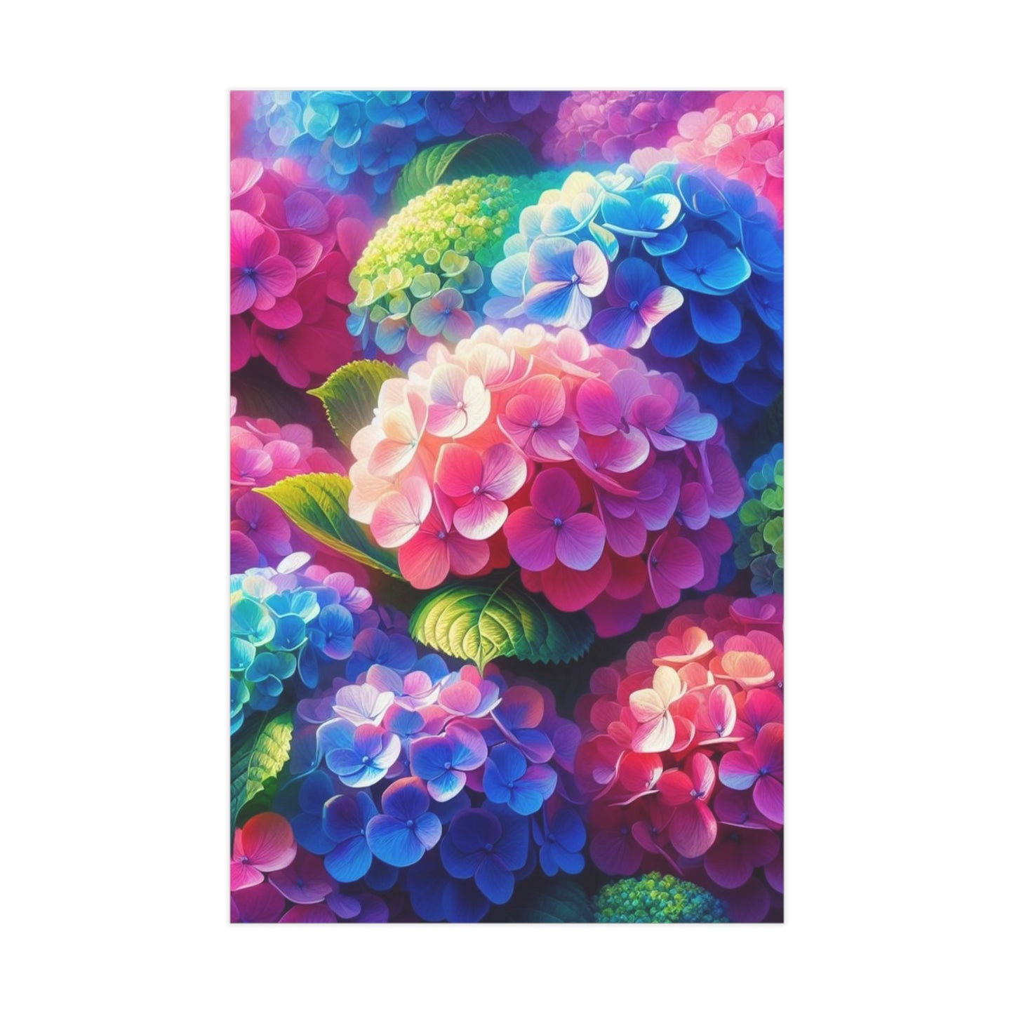 Hydrangeas Unframed Prints