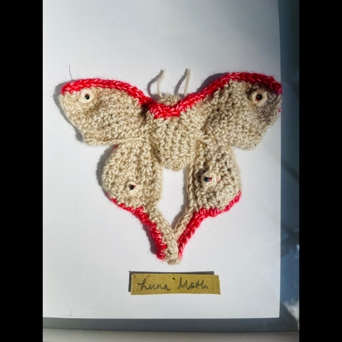 Handcrafted Insects - Framed