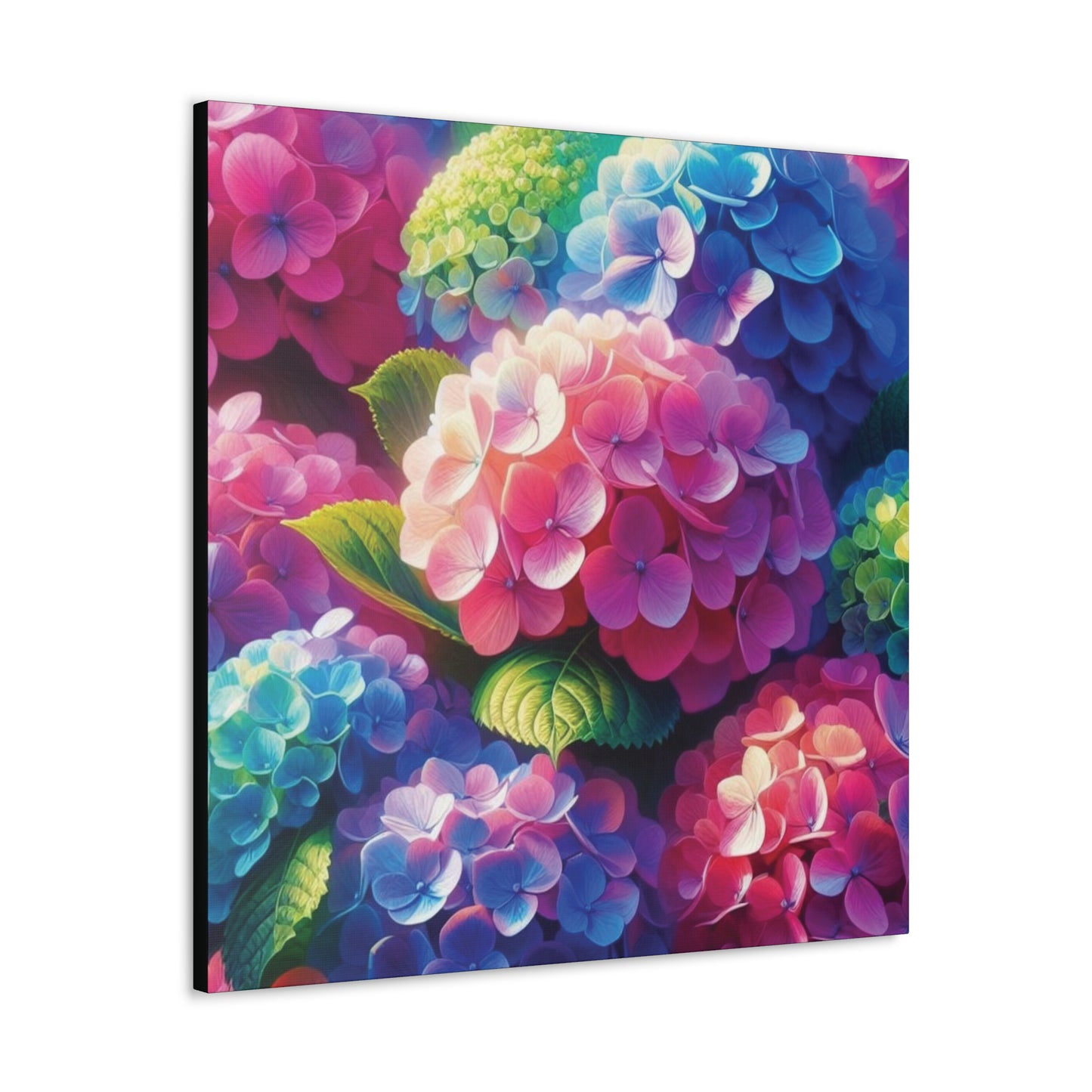 Hydrangeas Classic Canvas - Black