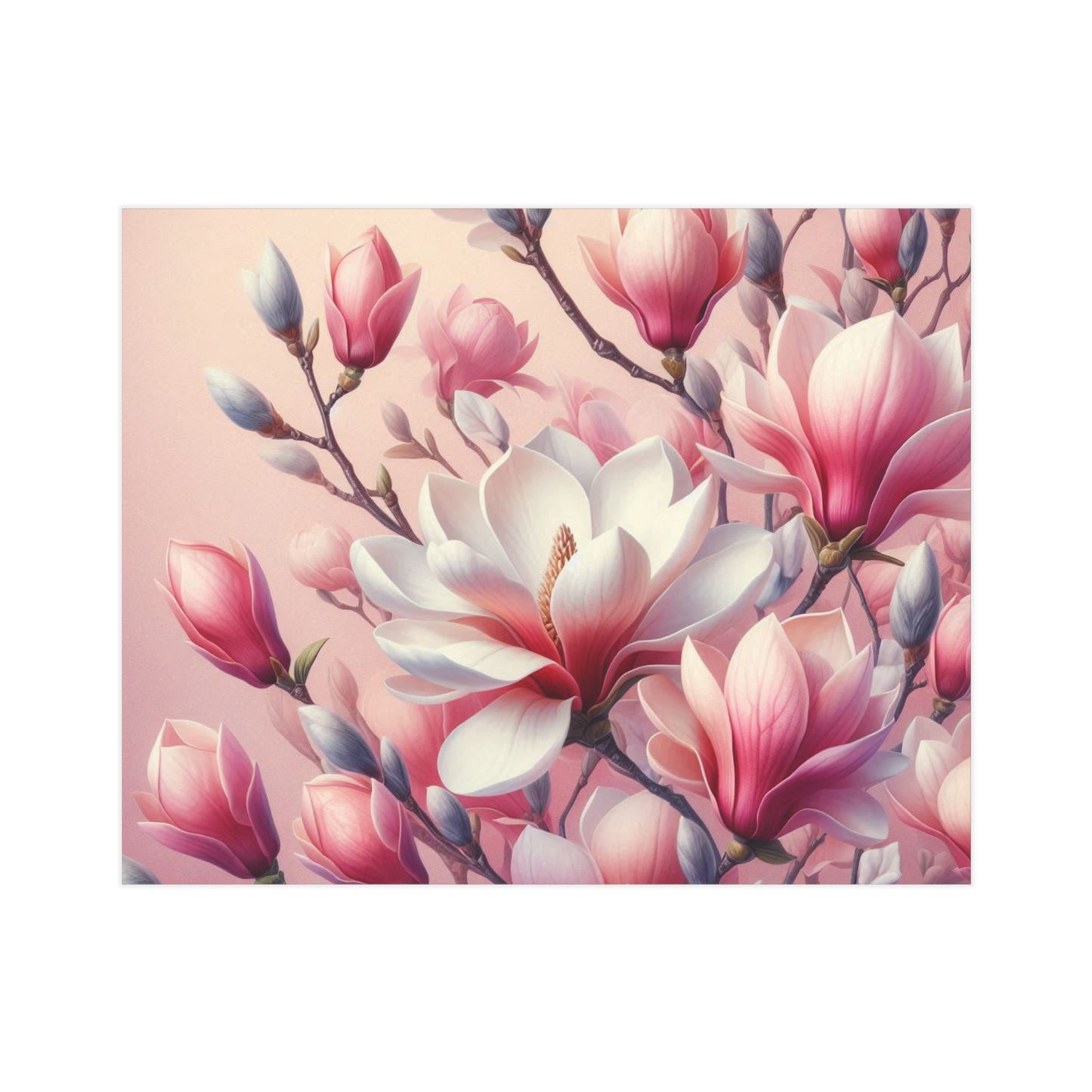 Magnolia Unframed Prints