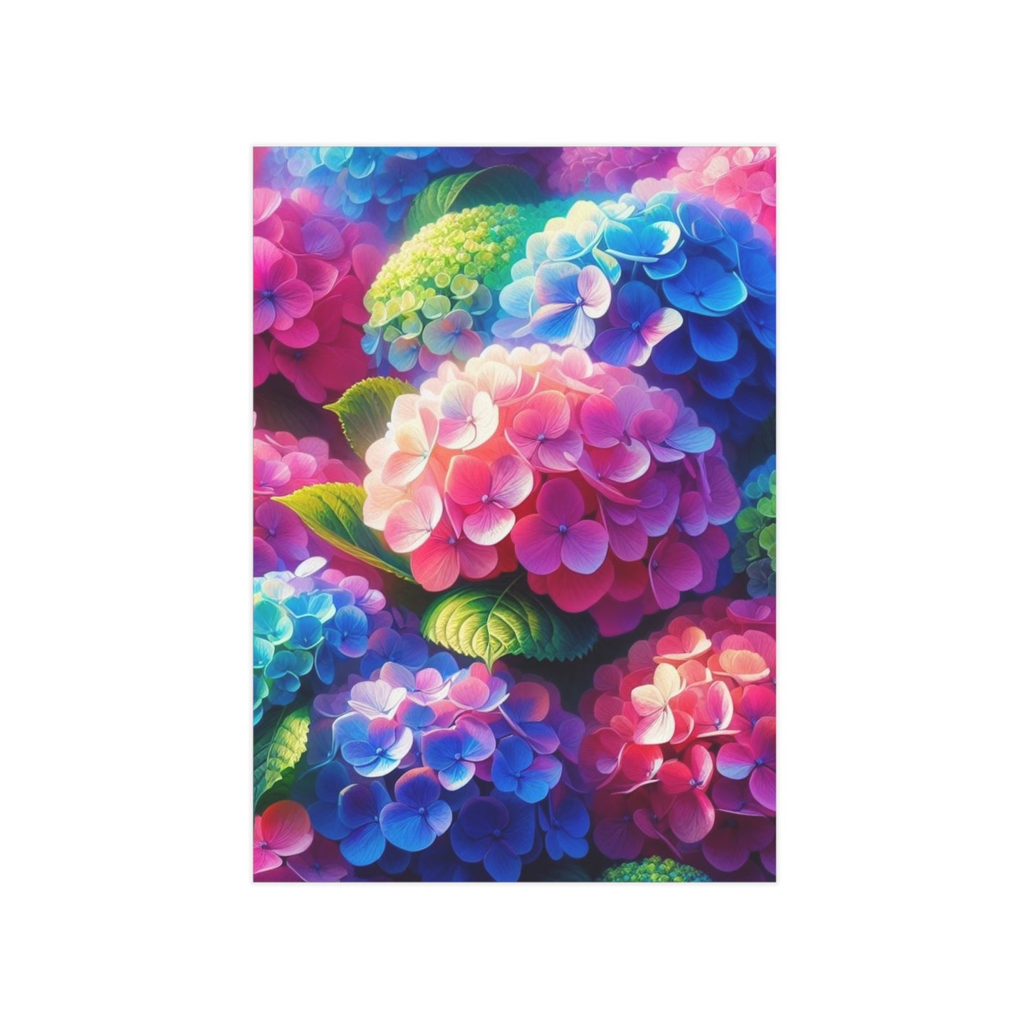 Hydrangeas Unframed Prints