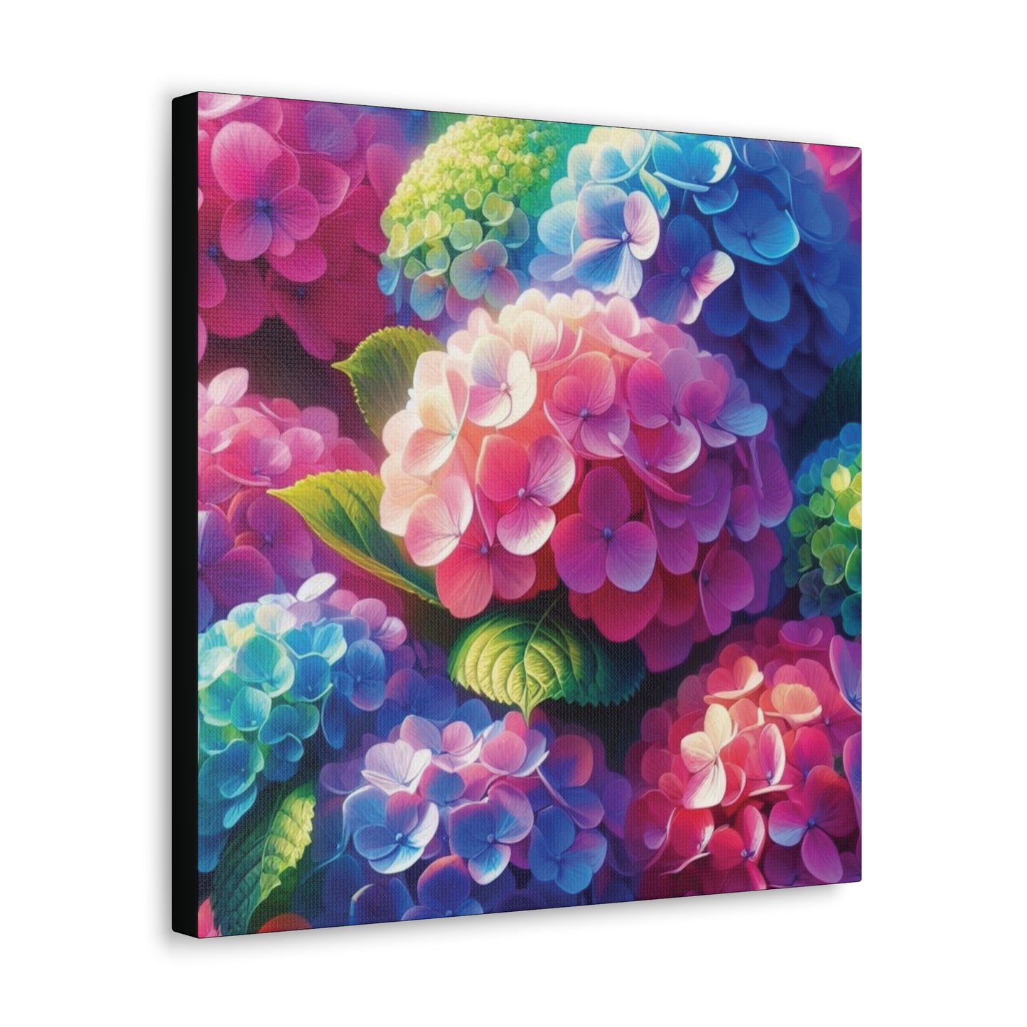 Hydrangeas Classic Canvas - Black