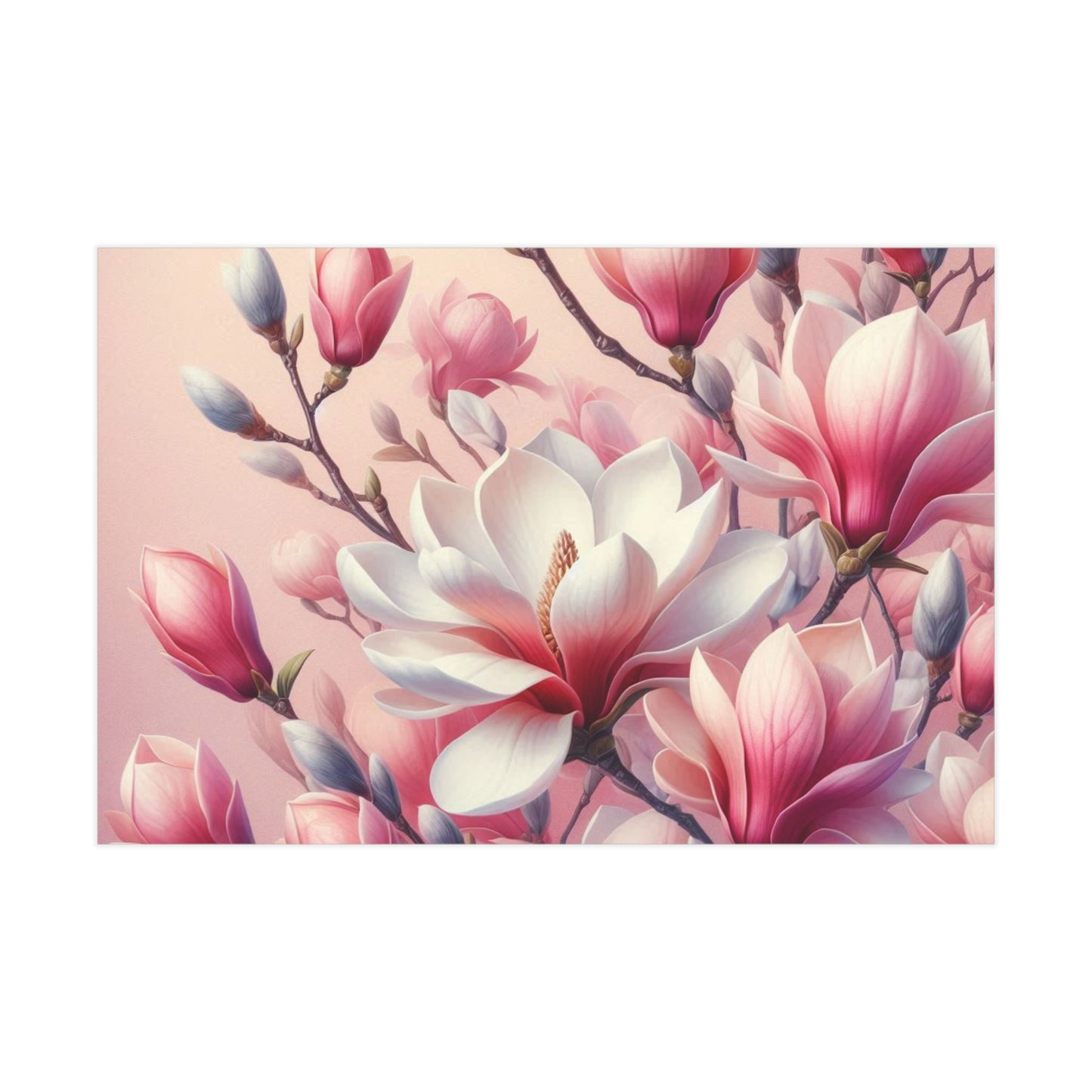 Magnolia Unframed Prints