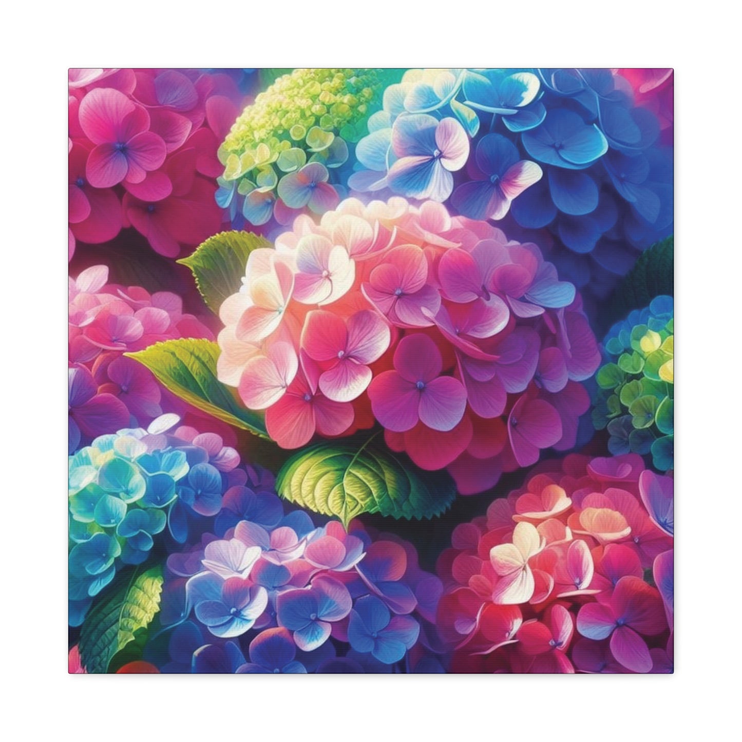 Hydrangeas Classic Canvas - Black