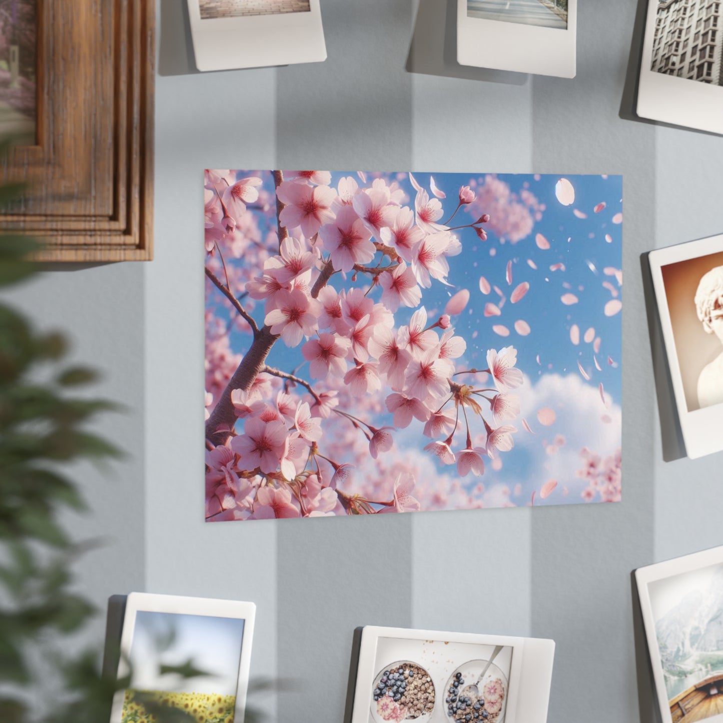 Cherry Blossoms Unframed Prints