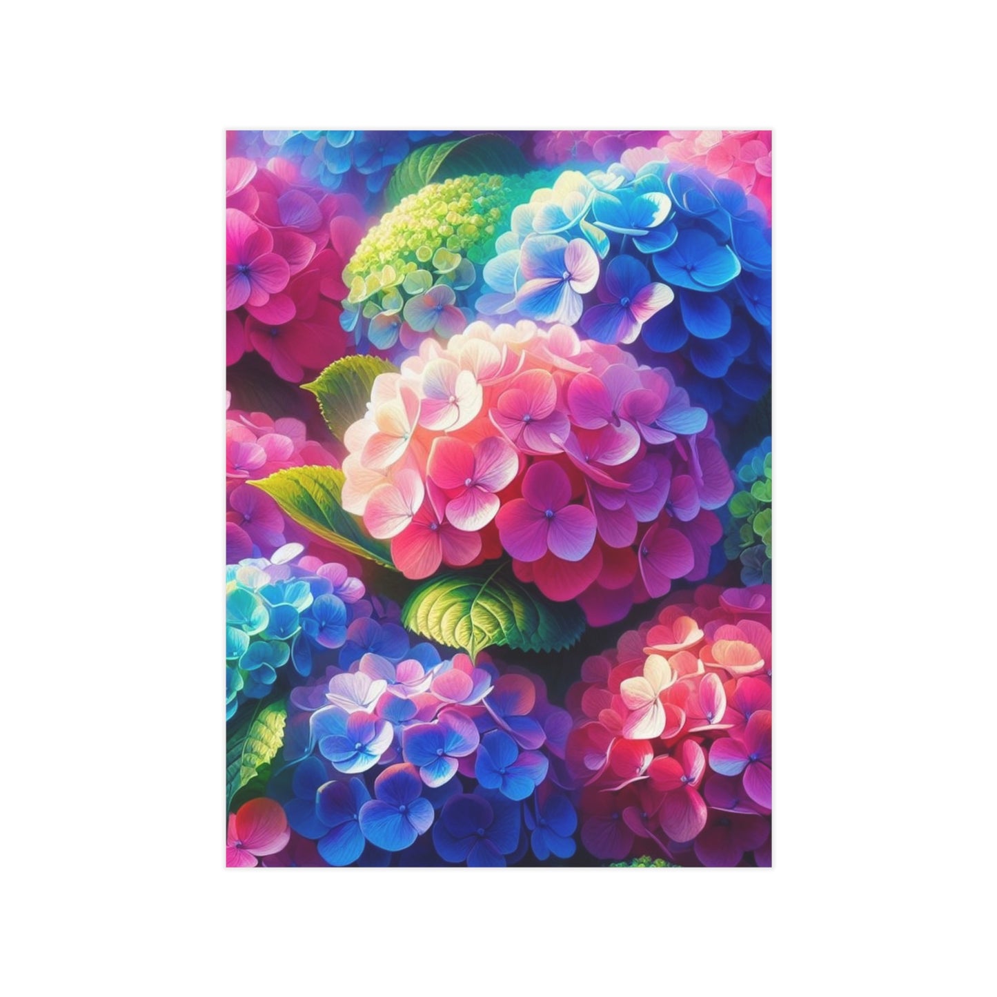 Hydrangeas Unframed Prints