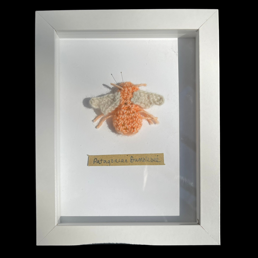 Handcrafted Insects - Framed