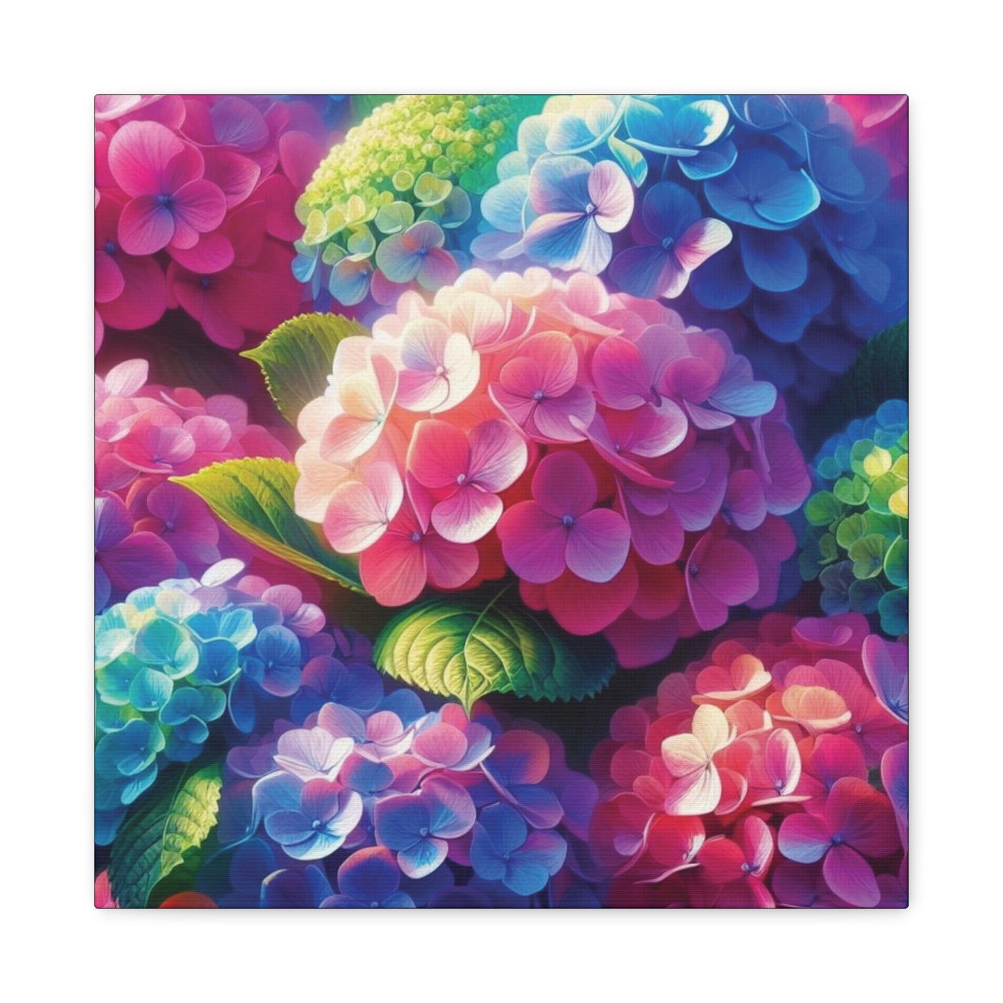 Hydrangeas Classic Canvas - Black