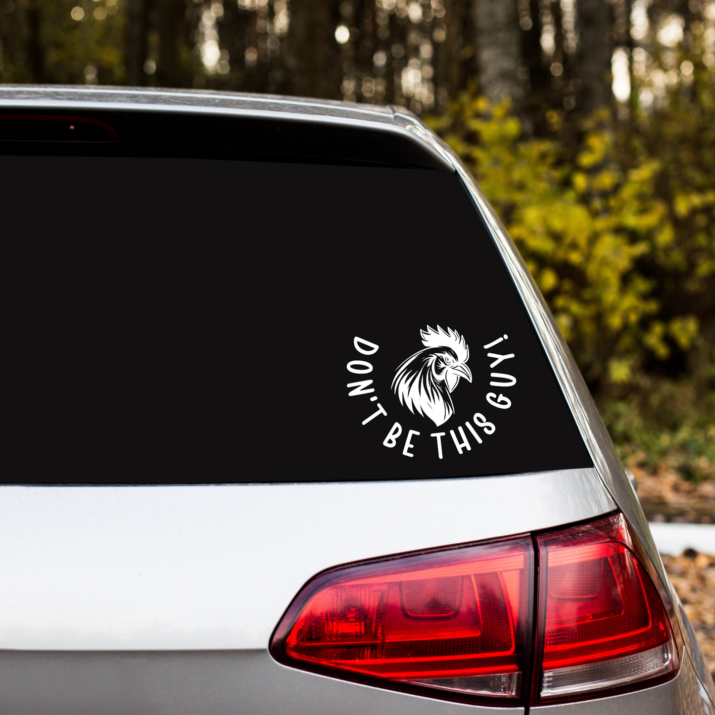 Adults Only Vinyl Car Decals